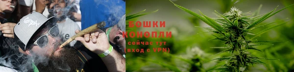 трава Магадан