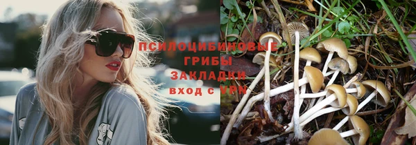 трава Магадан