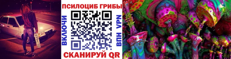 Галлюциногенные грибы Psilocybe  omg   Великие Луки 